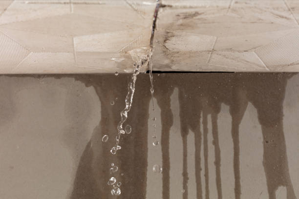 Professional Commercial Water Damage Restoration technician working in Leota, MN
